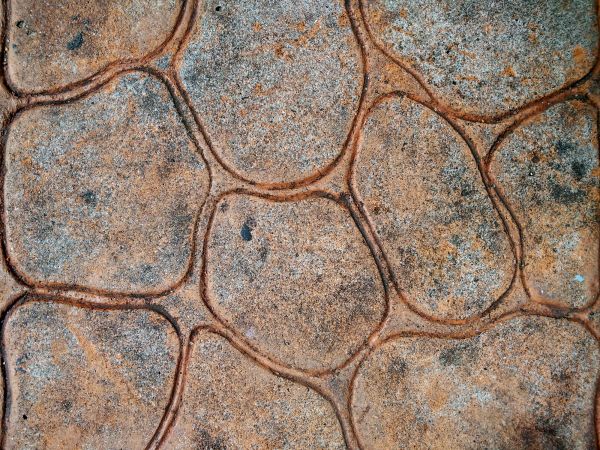 Cost of Stamped Concrete Replacement in Springfield