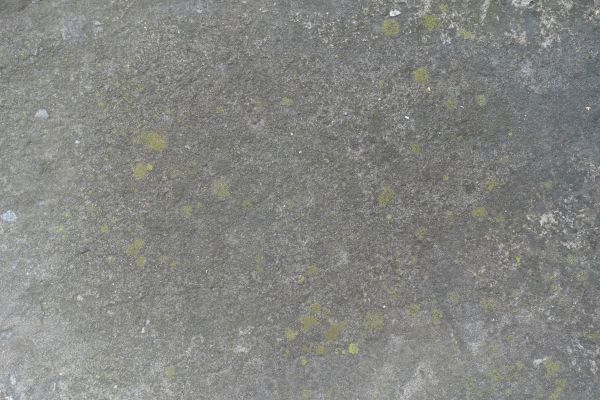 Cost of Slab Staining Service in Springfield